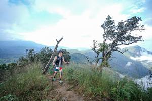 BIB: 
                            <button type="button" onclick="openModal(22371969)" class="btn btn-primary btn-sm float-right btn-popup" data-toggle="modal" data-target=".modal-high-quality">
                        <i class="fas fa-shopping-cart"></i> Add to Cart
                    </button>
                                            <button type="button" onclick="isThisMe(22371969, true)" class="btn btn-success btn-sm float-right btn-popup btn-isme hidden" data-toggle="tooltip" data-placement="bottom" title="นี่คือรูปของคุณใช่ไหม คลิกที่นี่เพื่อเอาเข้าอัลบั้ม">
                        <i class="fas fa-plus"></i> Add to album
                    </button>
                    <button type="button" onclick="isThisMe(22371969, false)" class="btn btn-warning btn-sm float-right btn-popup btn-isnotme hidden">
                        <i class="fas fa-ban"></i> Remove from album
                    </button>